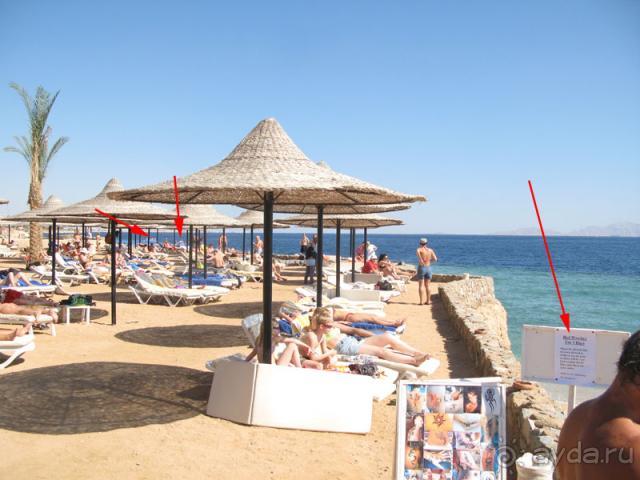 Еда в некоторых отелях Египта может быть опасна!!!