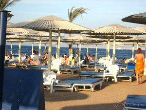 фото Seagull Beach Resort