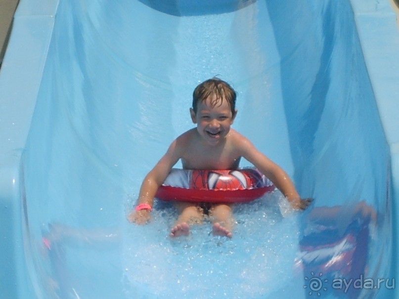 фото Копривщица