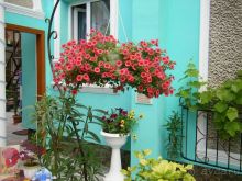 Фортуна. Николаевка. Крым. Недорогой и спокойный отдых.