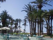 На территории отеля