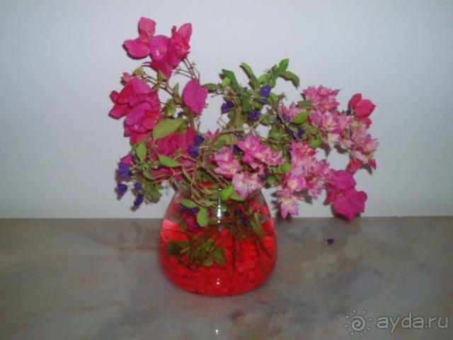 фото Лиелупе