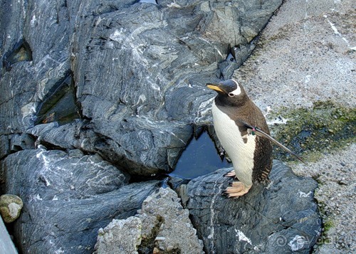 Автопутешествие по Норвегии на автомобиле.