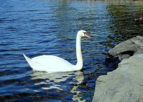 Автопутешествие по Норвегии на автомобиле.