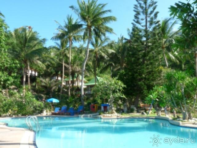 фото Казимеж