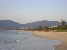 Mangrove Tree Resort