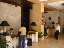 Mangrove Tree Resort