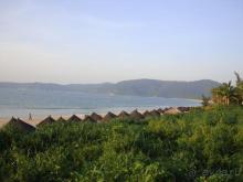 Mangrove Tree Resort