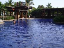 Mangrove Tree Resort