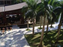 Mangrove Tree Resort