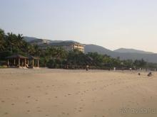 Mangrove Tree Resort