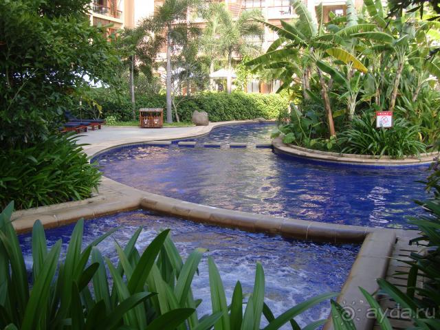 Mangrove Tree Resort