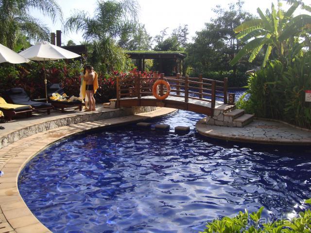 Mangrove Tree Resort