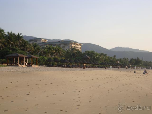 Mangrove Tree Resort