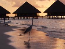 На закате дня