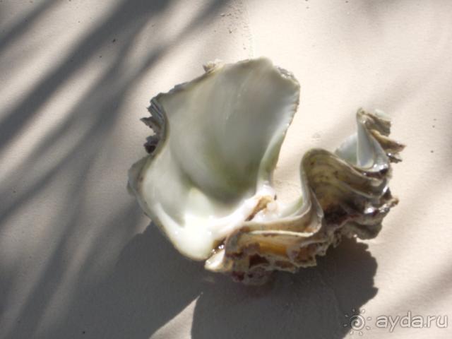 Adaaran Club Rannalhi