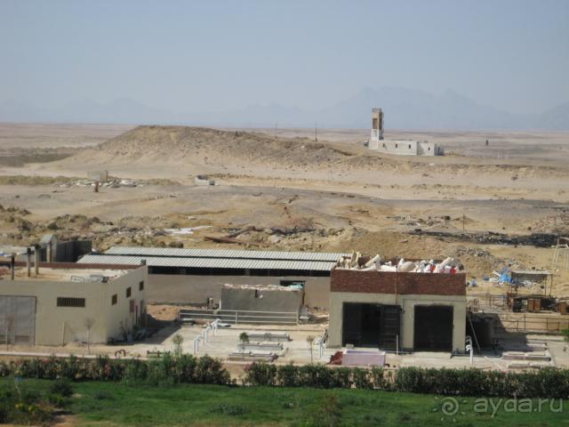 Мы вынуждены были жить в этом БЫДЛЯТНИКЕ...