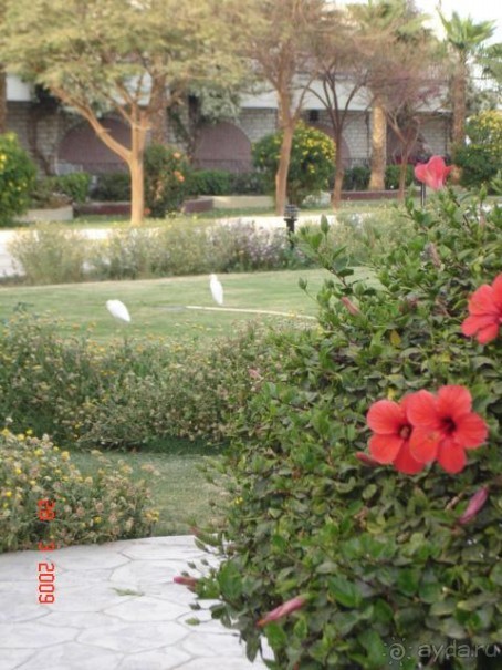 фото Ali Baba Palace