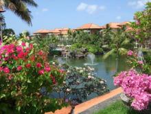 Очень хороший выбор