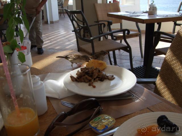 фото Reef Oasis Beach Resort