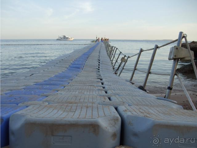 фото Reef Oasis Beach Resort