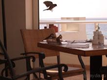 фото Reef Oasis Beach Resort