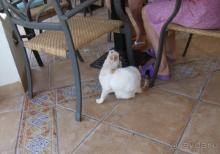 фото Reef Oasis Beach Resort