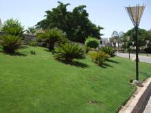 фото Reef Oasis Beach Resort