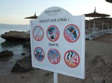 фото Reef Oasis Beach Resort