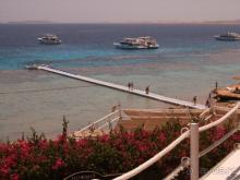 фото Reef Oasis Beach Resort