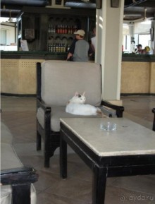 фото Reef Oasis Beach Resort