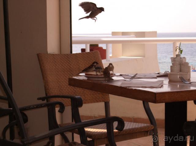 фото Reef Oasis Beach Resort