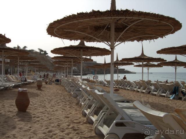 фото Reef Oasis Beach Resort