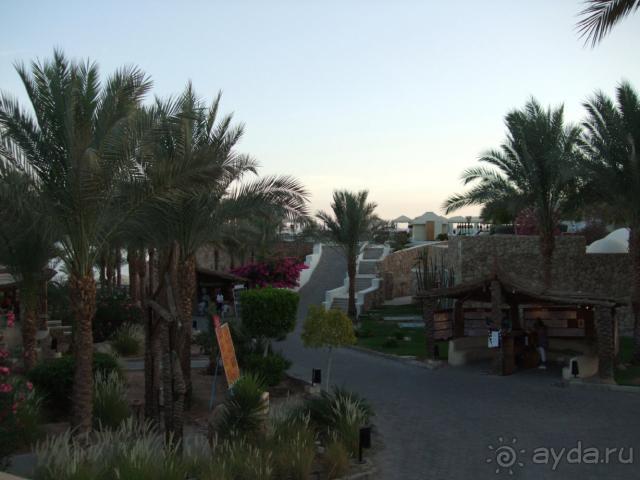 фото Reef Oasis Beach Resort