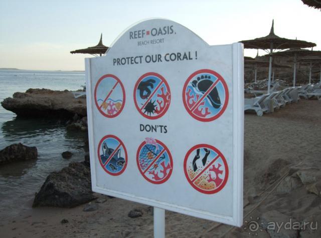 фото Reef Oasis Beach Resort