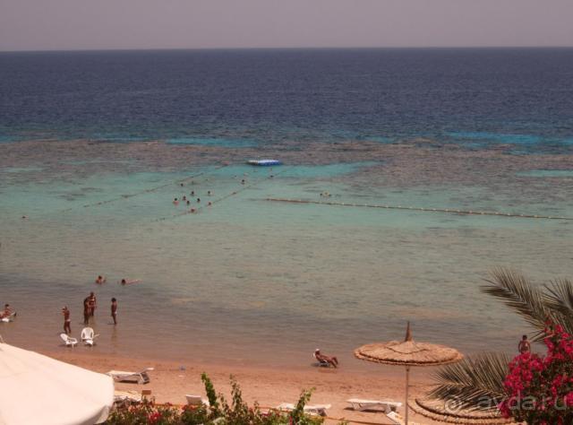 фото Reef Oasis Beach Resort