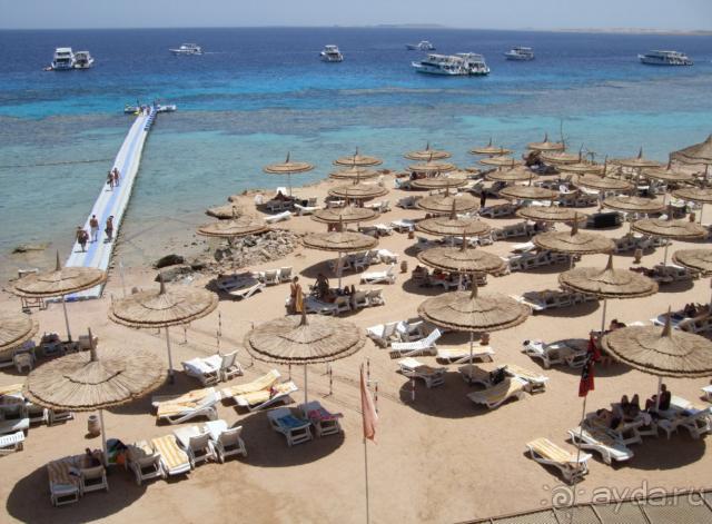 фото Reef Oasis Beach Resort