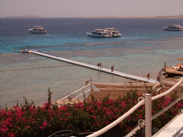 фото Reef Oasis Beach Resort