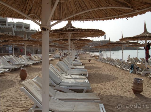 фото Reef Oasis Beach Resort