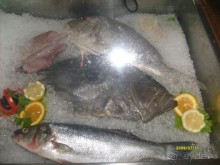 Страна, подарившая мне здоровье