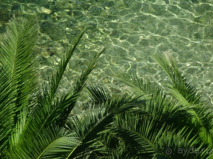 Страна, подарившая мне здоровье