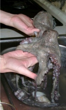 Хорватия. Маленькие зарисовки.