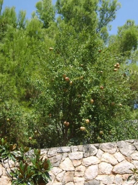 Хорватия. Маленькие зарисовки.