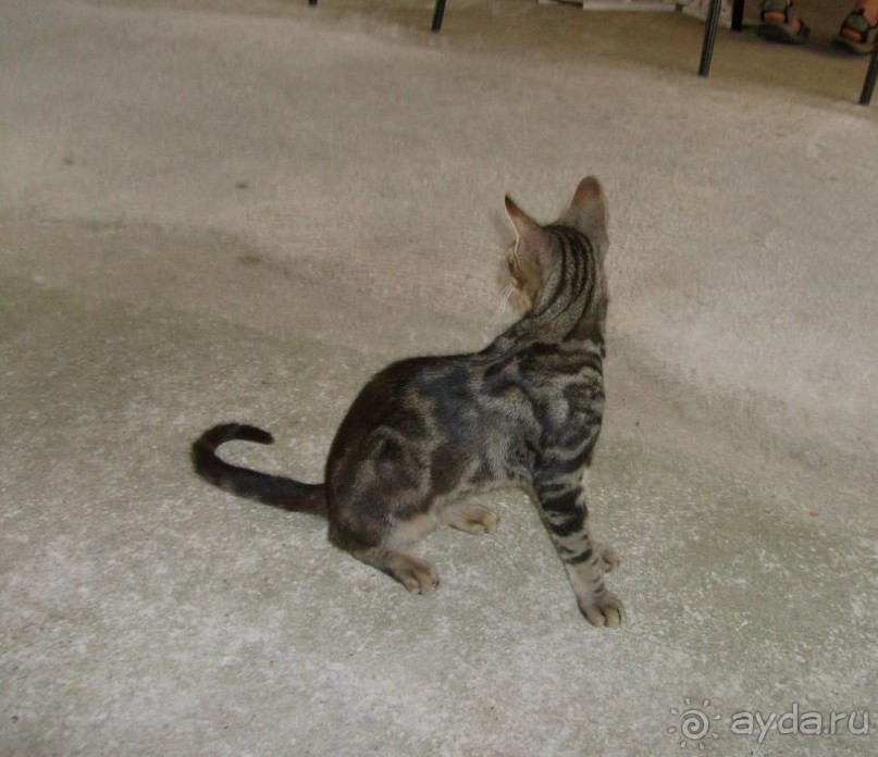 Хорватия. Маленькие зарисовки.