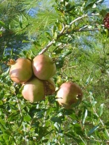 Хорватия. Маленькие зарисовки.