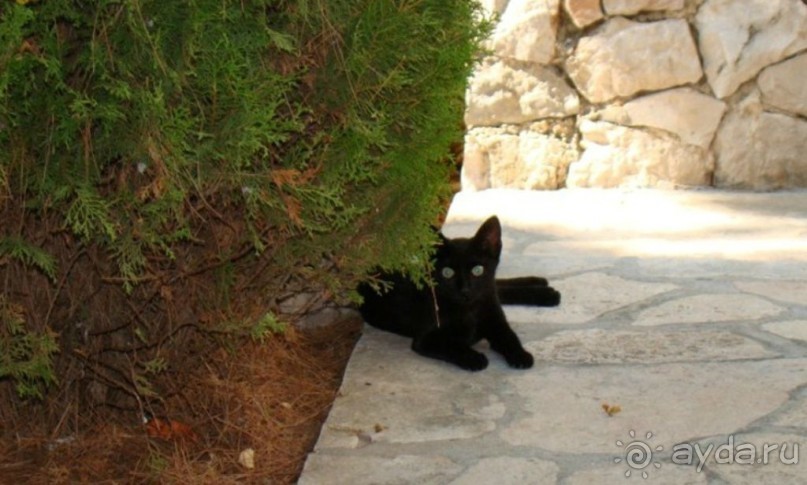 Хорватия. Маленькие зарисовки.