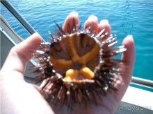 Хорватия. Маленькие зарисовки.