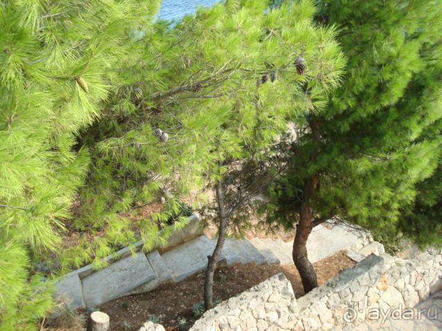 Хорватия. Маленькие зарисовки.