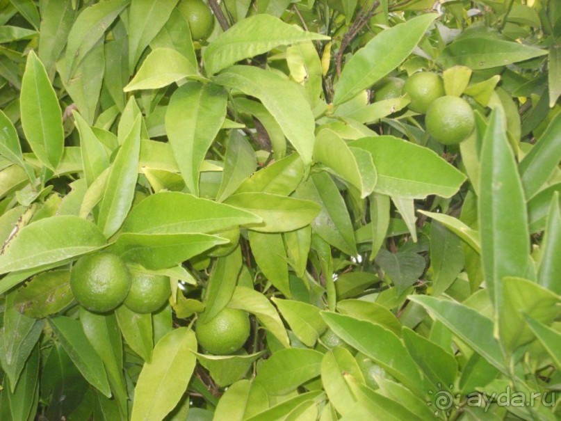 Хорватия. Маленькие зарисовки.