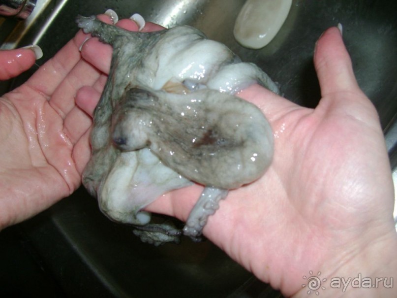 Хорватия. Маленькие зарисовки.